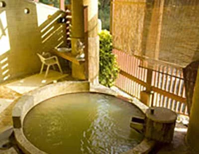 長湯温泉上野屋旅館