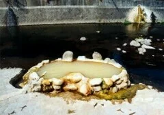 ガニ湯