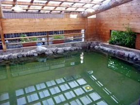 鉄輪温泉 旅館 国東荘