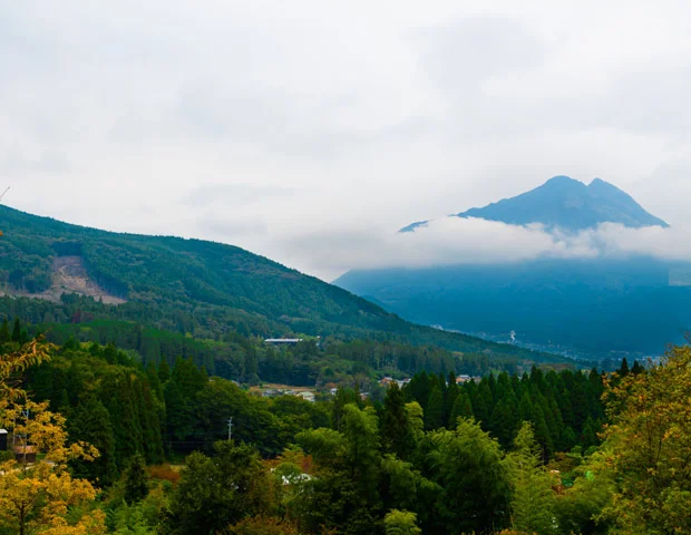 山荘　紗羅樹