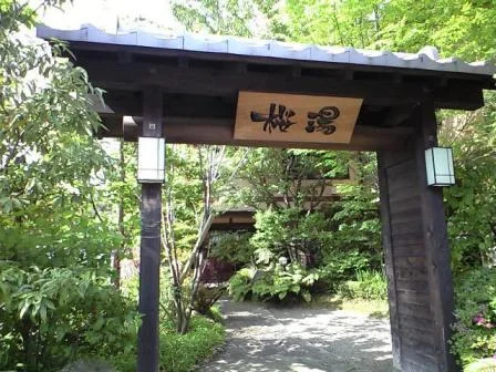 桜湯