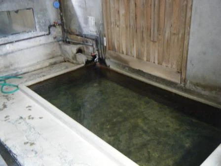 谷の湯