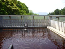 Takasakiyama Onsen Osaru no Yu - Oita