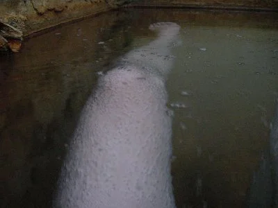 七里田温泉館 木乃葉の湯