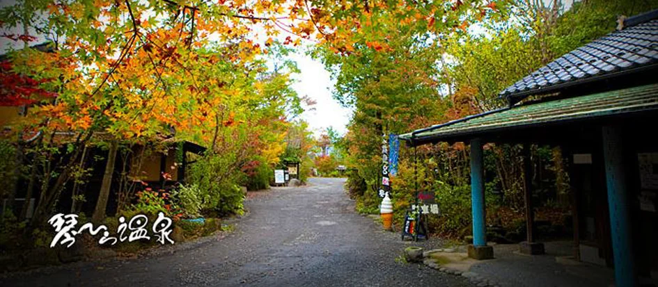 トップメイン画像1