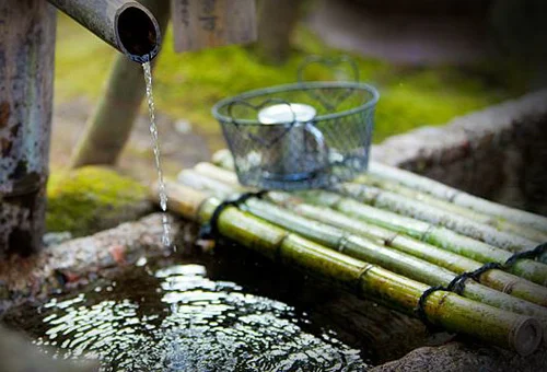 フォトアルバム11