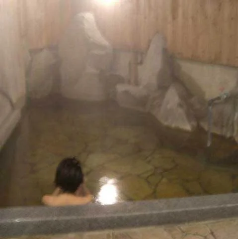 Yufuin Country Road Youth Hostel - Oita