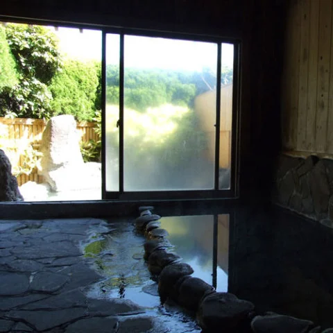 Yufuin Onsen Ryokan Tatsumi - Oita