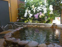 陽だまり温泉 花の湯