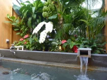 陽だまり温泉 花の湯