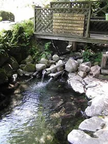 ヘビん湯