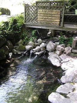 ヘビん湯