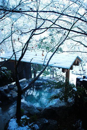 富士ビラ山華の正 - 佐賀県