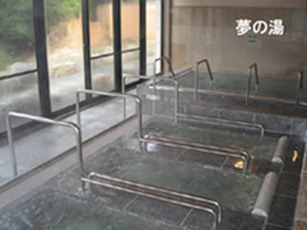 ひがしせふり温泉 山茶花の湯（さざんかのゆ）