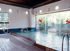 Tarazaki Onsen Yatomiso - Saga