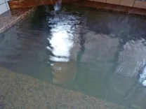 妙法寺温泉 飛龍乃湯