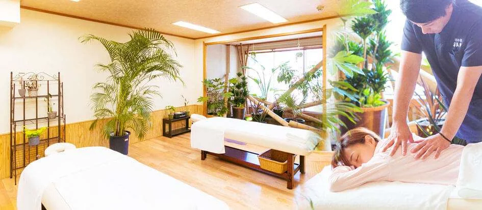 トップメイン画像4