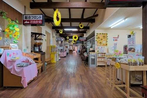 フォトアルバム7