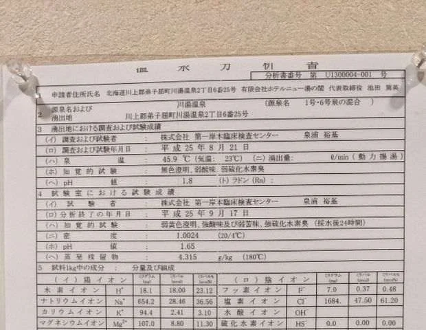 川湯温泉 湯の閣　池田屋