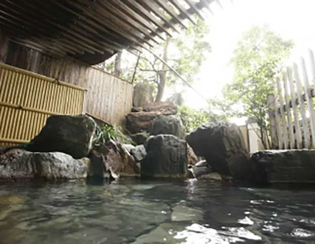 うぐいすや旅館(閉館しました)