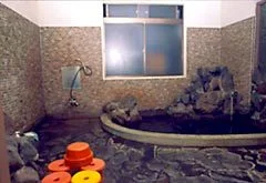 田の浦温泉　旅館　田の浦温泉 - 長崎県