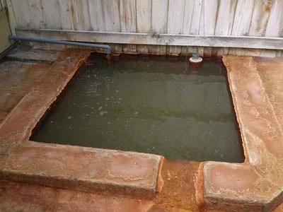 千走川温泉旅館(閉館しました)