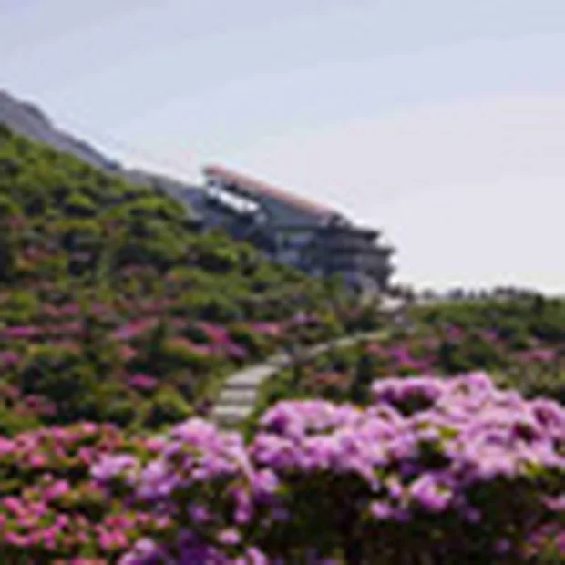 小浜温泉 雲仙荘（うんぜんそう）(閉館しました)