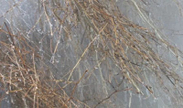 小浜温泉 雲仙荘（うんぜんそう）(閉館しました)