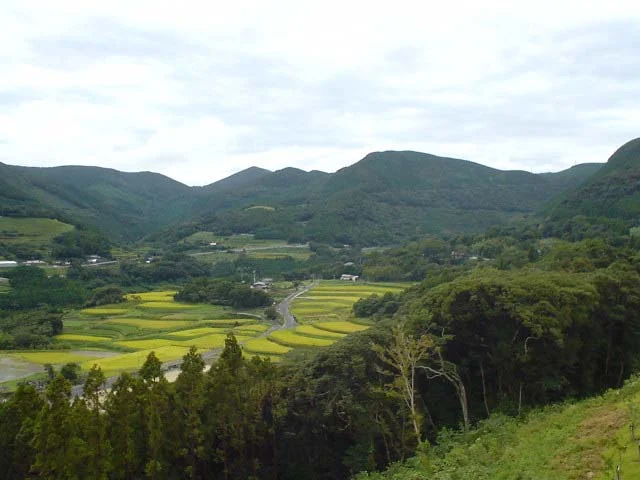世知原温泉くにみの湯 山暖簾(せちばるおんせん　やまのれん）