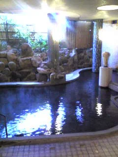 春陽館（閉館しました）