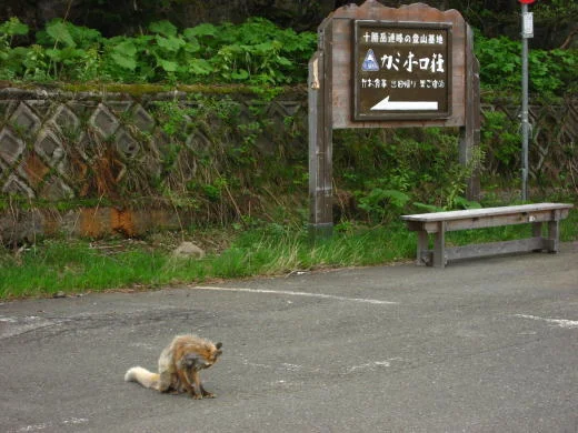 十勝岳温泉 カミホロ荘