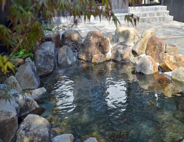 そのぎ茶温泉里山の湯宿 つわぶきの花
