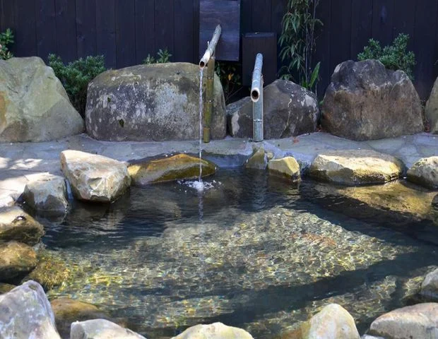 そのぎ茶温泉里山の湯宿 つわぶきの花