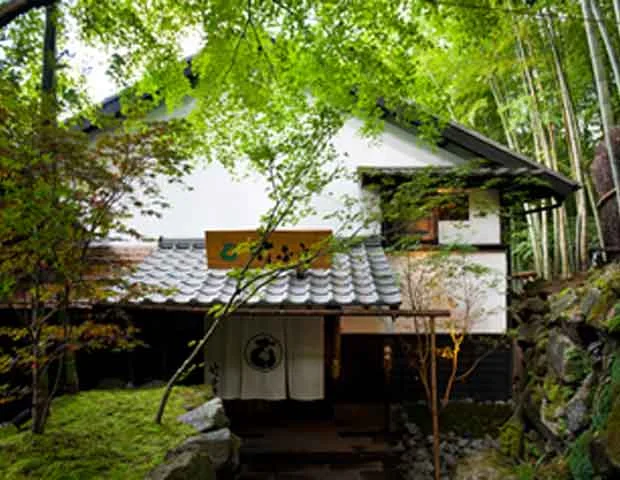 秘境 白川源泉 山荘 竹ふえ