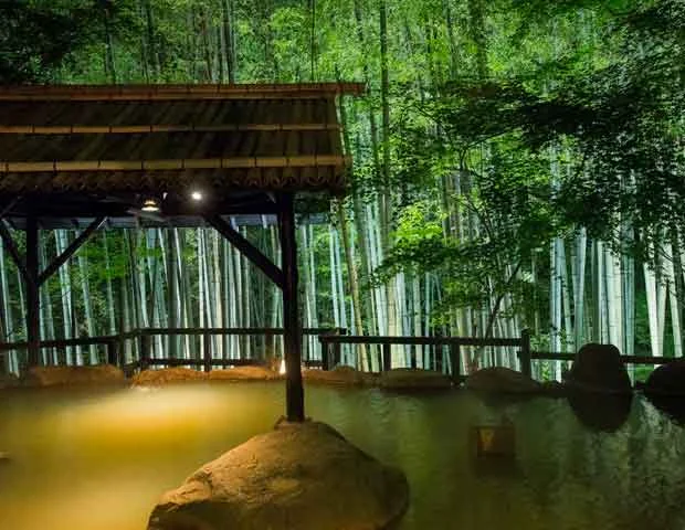 秘境 白川源泉 山荘 竹ふえ