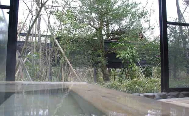亀山の湯