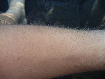 人吉温泉 華まき温泉