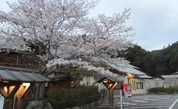 山江温泉ほたる
