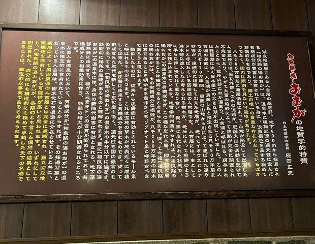人吉温泉 相良路の湯 おおが