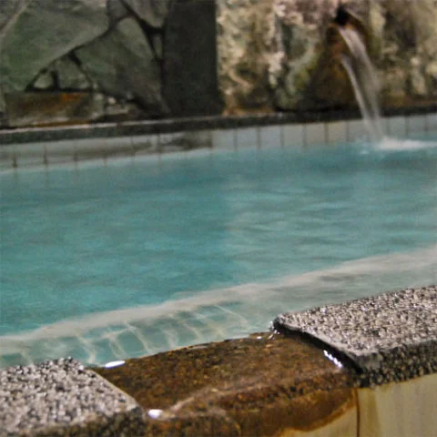 菊池温泉　旅館　宝来館 - 熊本県