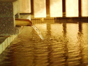 人吉温泉 鍋屋本館 - 熊本県