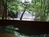 旅館 山林閣