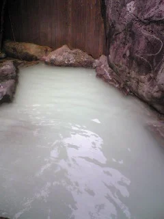 旅館 山林閣