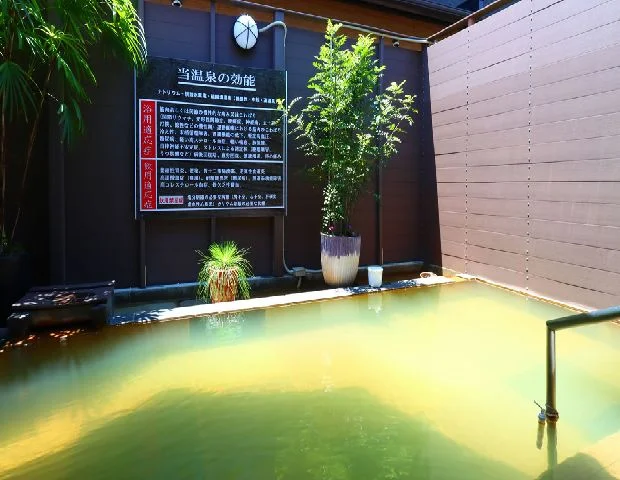 Ryunokami Hotel - Kumamoto