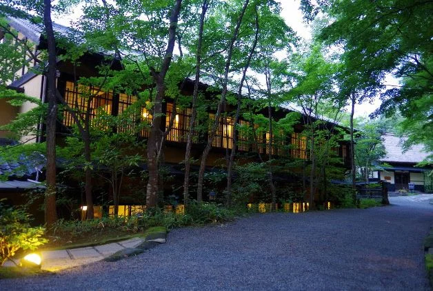 山みず木