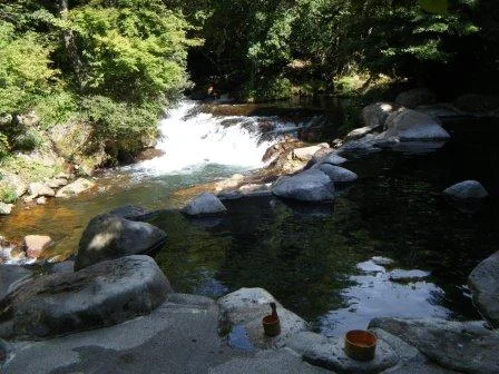 山みず木