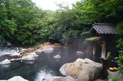 山みず木