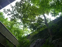 芳野旅館