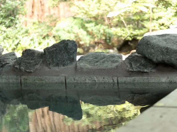 奥入瀬渓流温泉 灯と楓