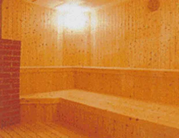 不知火温泉 ロマンの湯(閉館しました)